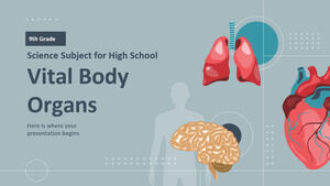 مادة العلوم للمدرسة الثانوية - الصف التاسع: أعضاء الجسم الحيوية