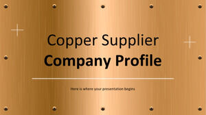Profil de l'entreprise du fournisseur de cuivre