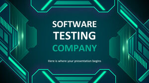 Companie de testare software