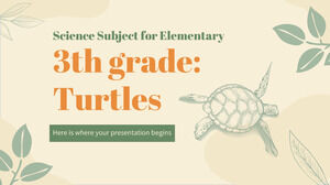 Matière scientifique pour le primaire - 3e année : les tortues