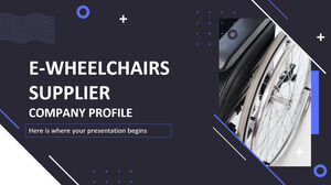 E-Wheelchairs Supplier Company Profile
