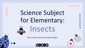 Science Subject for Elementary: Insects