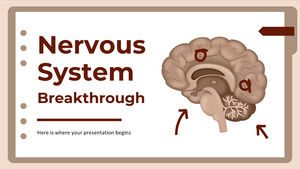 Nervous System Breakthrough