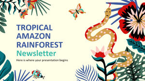Tropical Amazon Rainforest Newsletter
