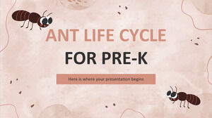 Ant-Lebenszyklus für Pre-K