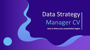 Data Strategy Manager CV