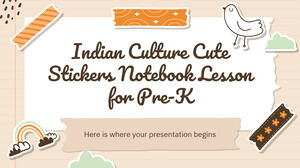 Indian Culture Cute Stickers Notebook Lecție pentru pre-K
