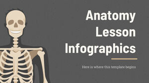 Anatomy Lesson Infographics