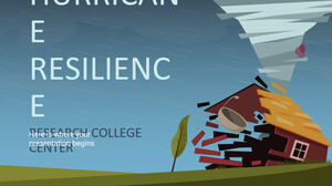 Hurricane Resilience Research College Center