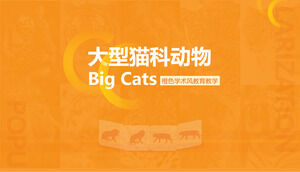 Pomarańczowy styl akademicki duży kot wiedzy szablon ppt materiałów szkoleniowych