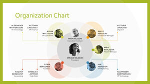 Бесплатный шаблон Powerpoint для дизайна организационной диаграммы