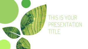 Folhas de Meio Ambiente. Modelo gratuito do PowerPoint e tema do Google Slides