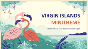 جزر فيرجن Minitheme