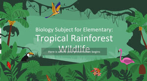 Sujet de biologie pour l'élémentaire : la faune de la forêt tropicale humide