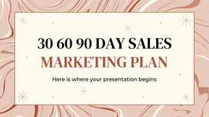 30 60 90 jours - Plan de marketing des ventes