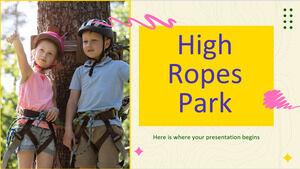 Parcul High Ropes