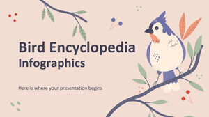 Bird Encyclopedia Infographics Bird Encyclopedia Infographics