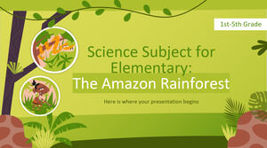 Disciplina de Ciências do Ensino Fundamental - 1ª a 5ª série - Floresta Amazônica