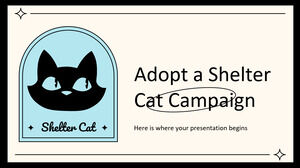 Adopta una campaña de gatos de refugio