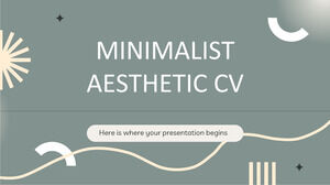 Minimalistyczne estetyczne CV