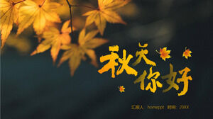 Autumn with orange maple leaves on a black background Hello PPT template