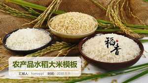Modello PPT tema profumo di riso con pannocchie di riso e tre ciotole di sfondo di riso