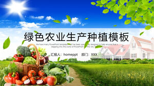 Laden Sie die PPT-Vorlage für grüne Landwirtschaft mit dem Hintergrund aus blauem Himmel, weißen Wolken, Ackerland und Gemüse herunter