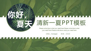 Ciao con uno sfondo di foglie verdi di piante squisite, download del modello PPT estivo