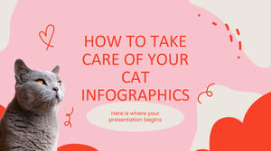 Infografía sobre cómo cuidar a tu gato