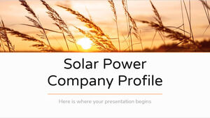 Güneş Enerjisi Şirket Profili