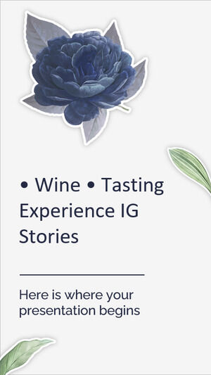 Experiență de degustare de vinuri IG Stories