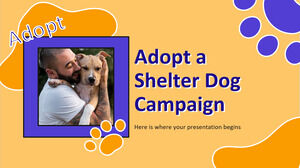 Adote uma campanha de cães de abrigo