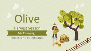 Olivenerntesaison MK-Kampagne