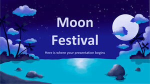 Festival della Luna
