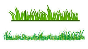 Imballaggio e download del materiale PPT di Green Grass di vettore