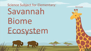 Materia di scienze per la scuola elementare - 5a elementare: ecosistema del bioma della savana