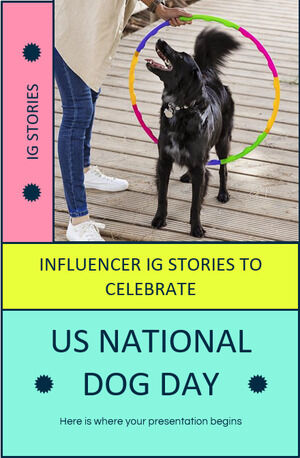 Influencer IG Stories z okazji Narodowego Dnia Psa w USA