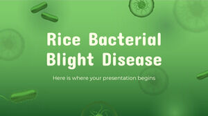 Pirinç Bakteriyel Yanıklığı Hastalığı