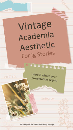 Vintage Academia Aesthetic pentru IG Stories