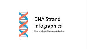 DNA Strand Infographics