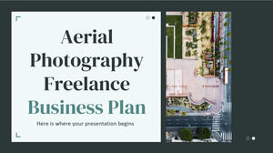 Freiberuflicher Businessplan für Luftfotografie