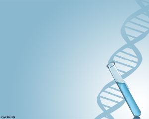 DNA 파워 포인트 템플릿