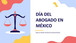 メキシコの弁護士の日