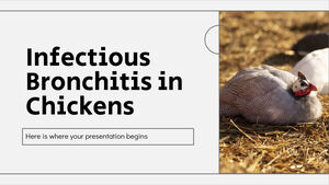 Infektiöse Bronchitis bei Hühnern