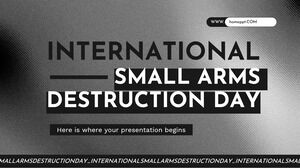 Journée internationale de la destruction des armes légères