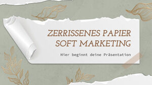 Ripped Paper Soft Style Marketing Plan