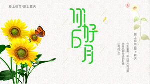 你好，向日葵和蝴蝶背景。 下载六月PPT模板