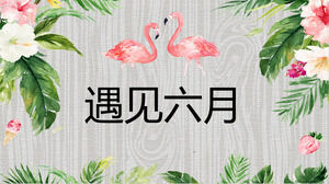 Bunga cat air Latar belakang Flamingo memenuhi unduhan template PPT Juni
