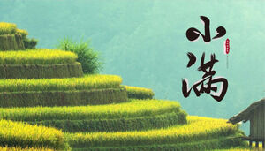 เทมเพลต PPT สำหรับแนะนำคำพลังงานแสงอาทิตย์ Xiaoman ในพื้นหลังของข้าวสาลีในระเบียงสีเขียว