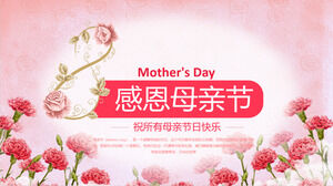 قالب PPT لعيد الشكر لعيد الأم مع خلفية Dianthus caryophyllus الوردي